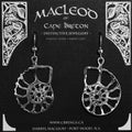 Ammonite Fossil Earrings   E-902
