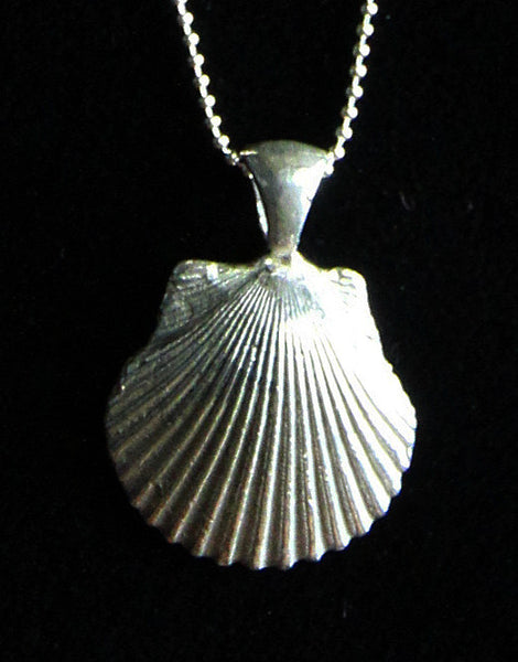 Seashell Pendant
