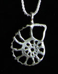 Ammonite Fossil Slice Pendant