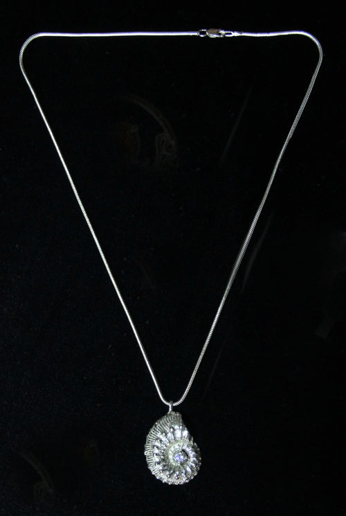 Ammonite fossil and cubic zirconia pendant